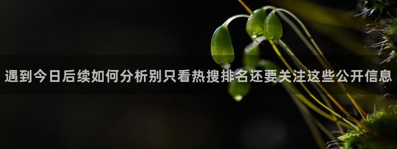 吃瓜最新地址入口