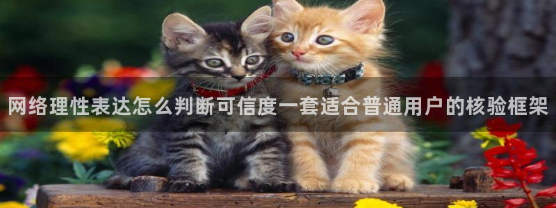 91吃瓜事件资讯:网络理性表达怎么判断可信度一套适合普通用户的核验框架