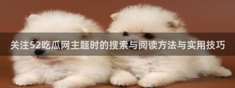 91吃瓜资讯网:关注52吃瓜网主题时的搜索与阅读方法与实用技巧