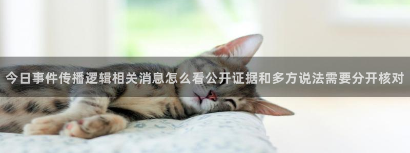 91吃瓜热点资讯:今日事件传播逻辑相关消息怎么看公开证据和多方说法需要分开核对