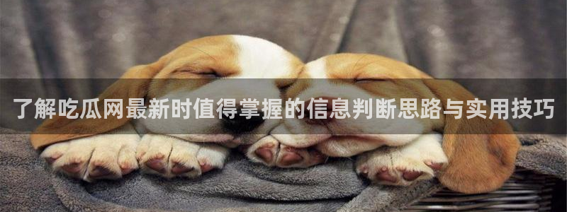 91吃瓜热点事件:了解吃瓜网最新时值得掌握的信息判断思路与实用技巧