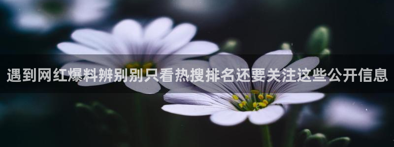 吃瓜最新事件:遇到网红爆料辨别别只看热搜排名还要关注这些公开信息