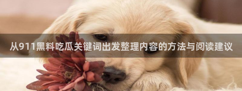 91吃瓜网络资讯:从911黑料吃瓜关键词出发整理内容的方法与阅读建议